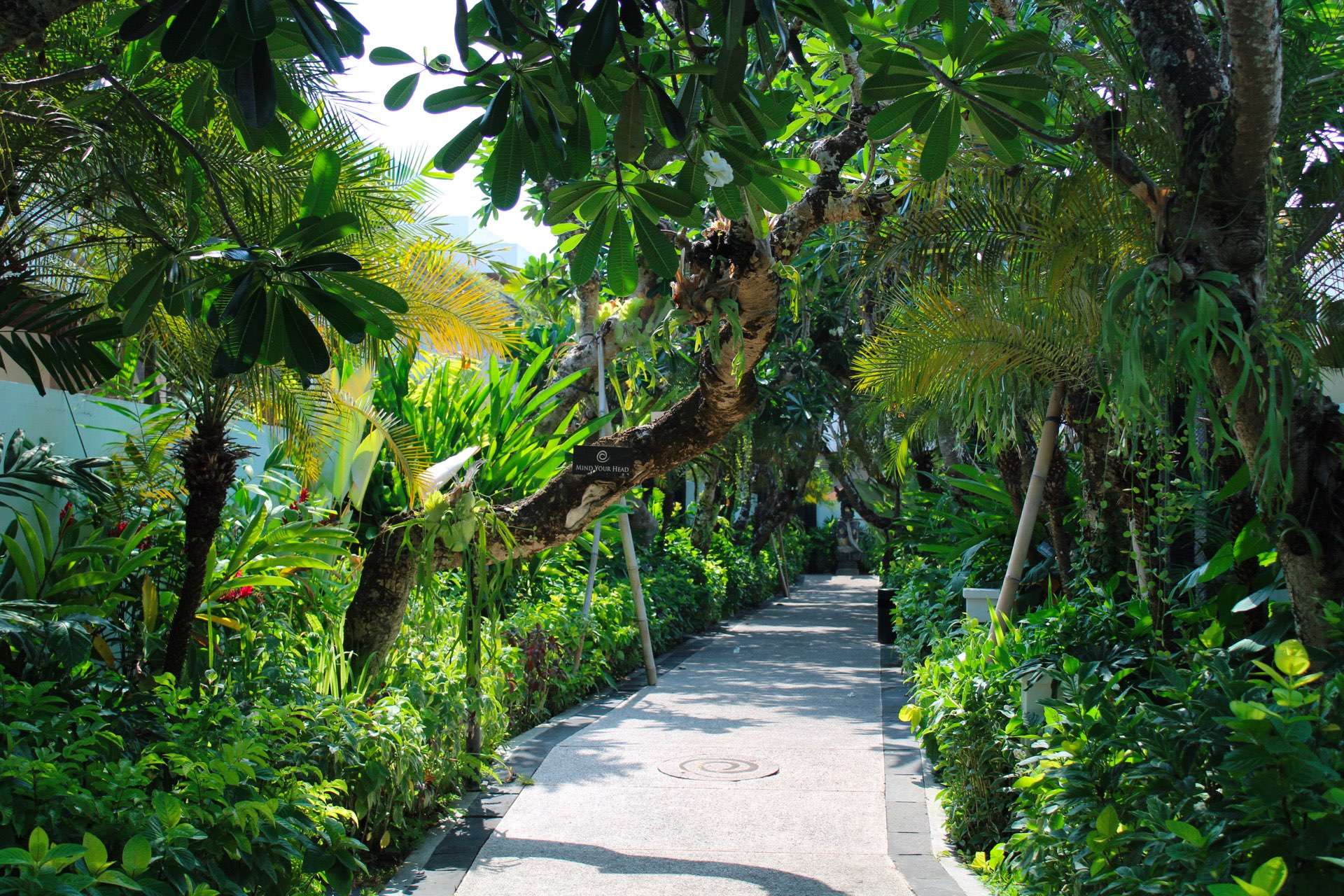 nature around